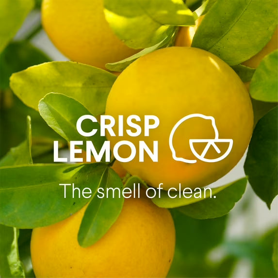 Clorox Disinfecting Bleach-Free All Purpose Cleaner, Crisp Lemon, 32 fl oz