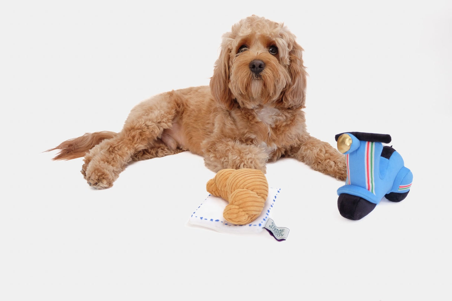 Scooter Pet Plush Toy