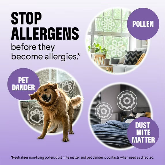 Clorox PURE Allergen Neutralizer Daily Air Spray, Nighttime Calm, 8 oz. Bottle