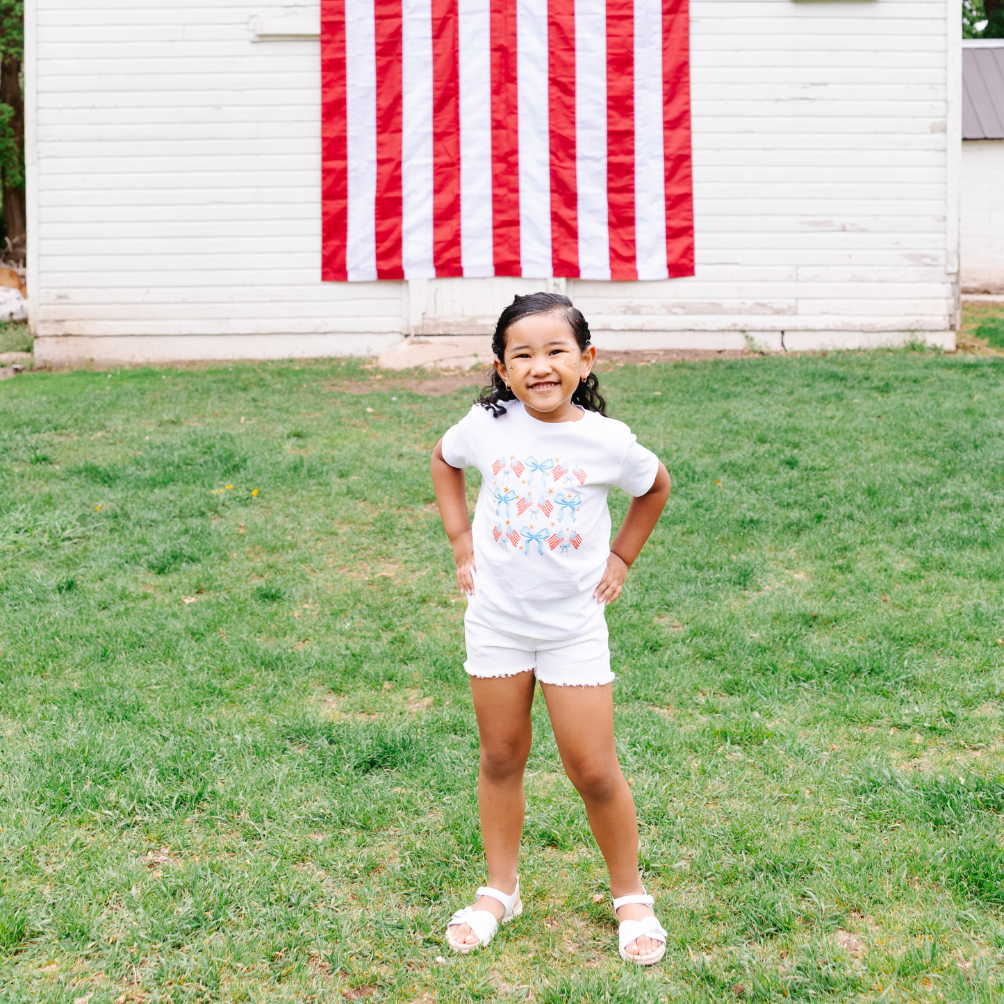 American Flag and Bows