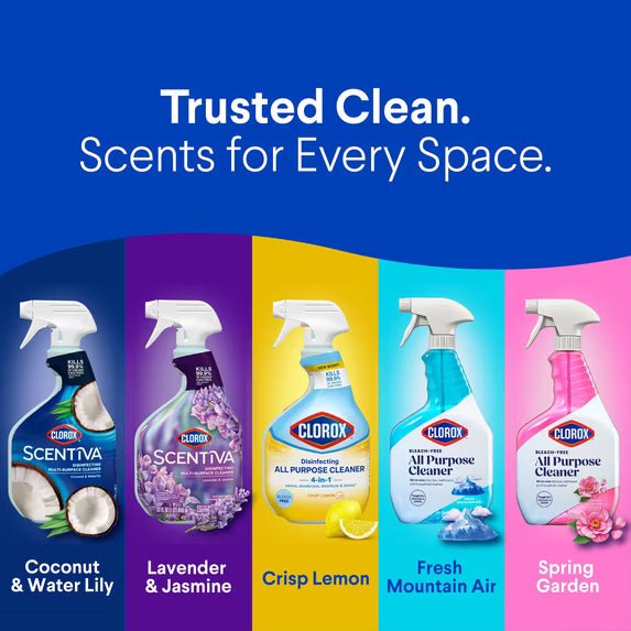 Clorox All Purpose Cleaner, Bleach Free, Spring Garden, 32 fl oz
