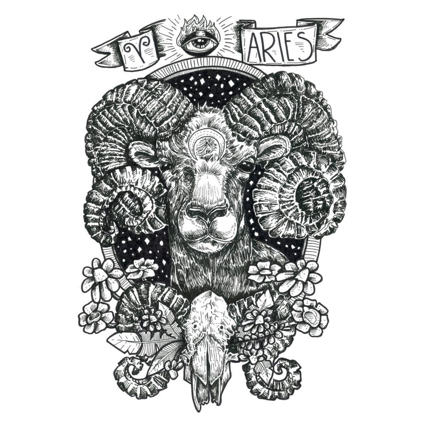 Aries