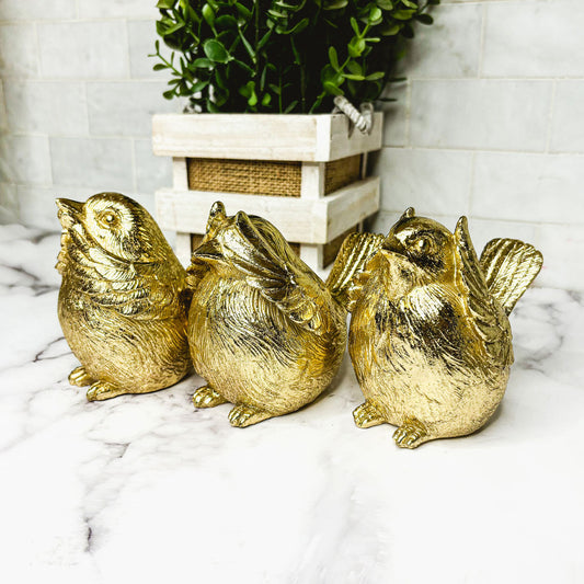 3 Wise Birds