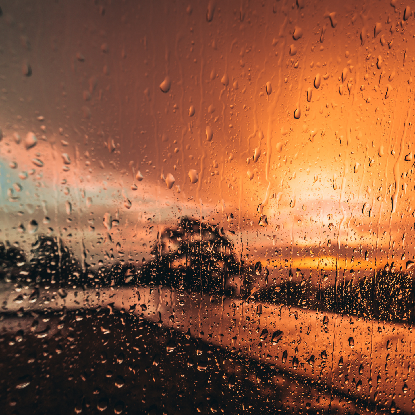 Rain