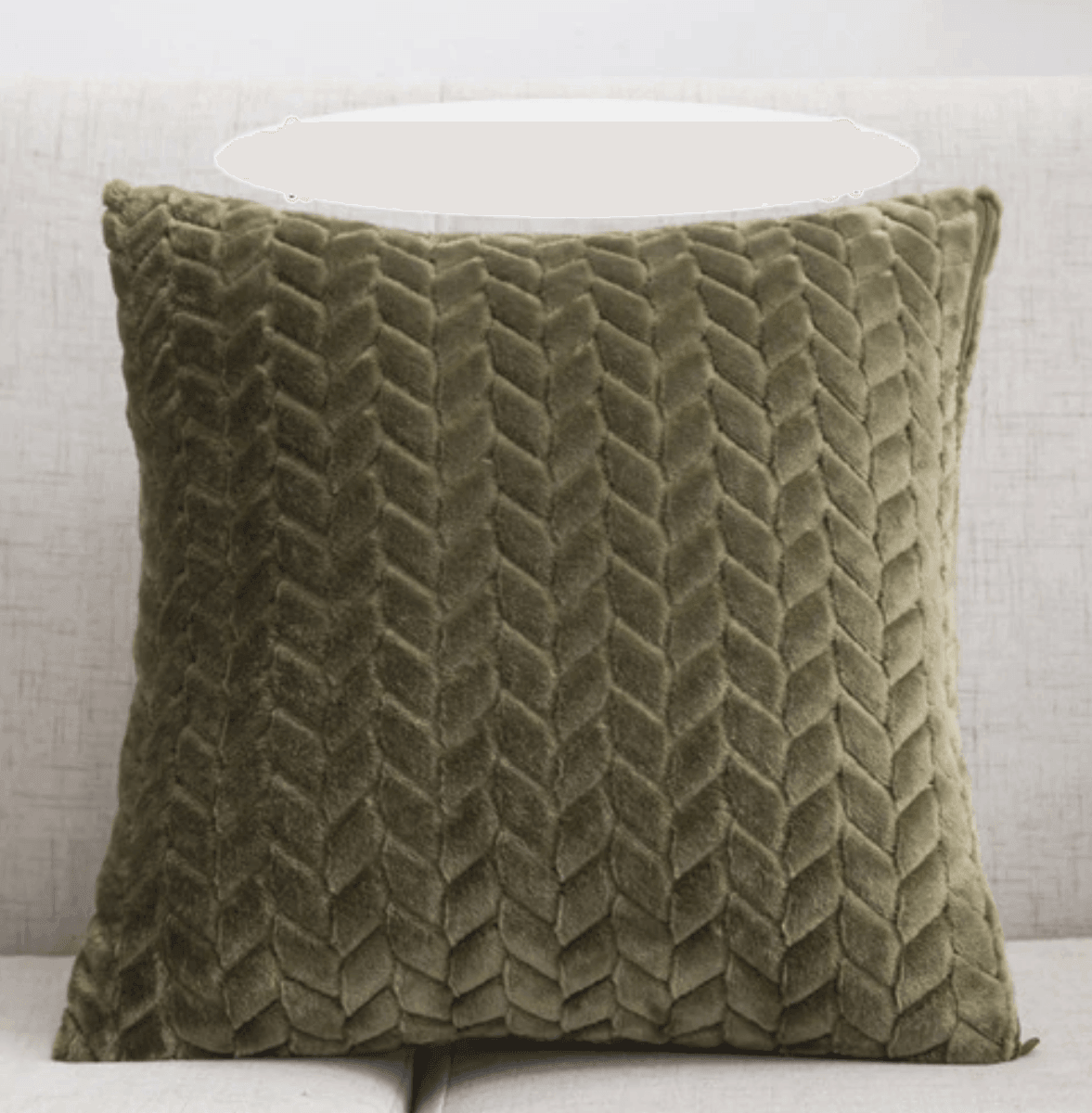 Plush Pillow Case