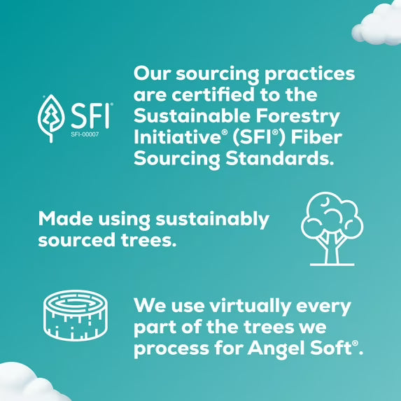 Angel Soft 2-Ply Toilet Paper, 9 Mega Rolls, 320 Sheets per Roll