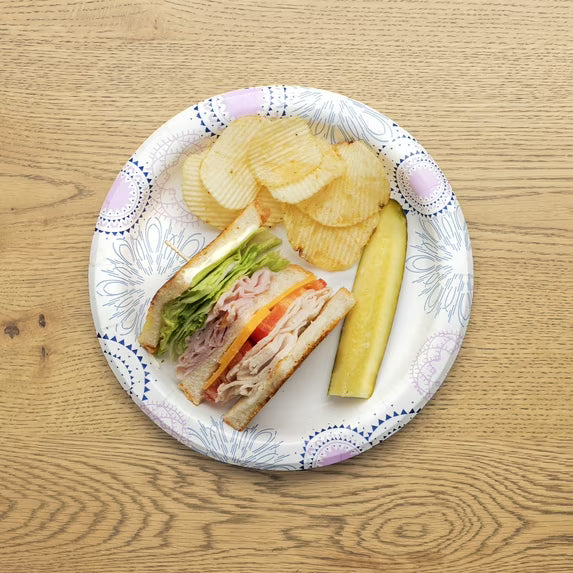 Great Value Disposable Paper Plates, 8.5", 100 Count