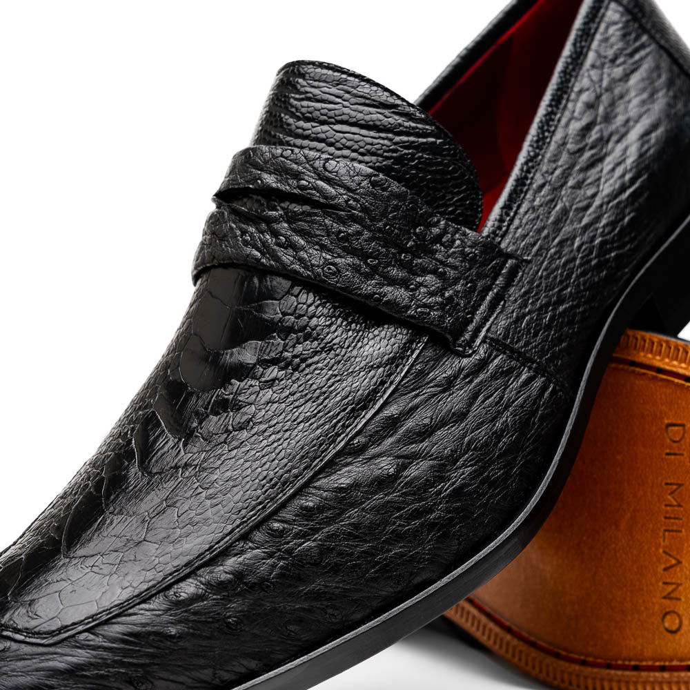 Fangio Black