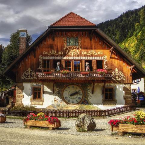 Black Forest