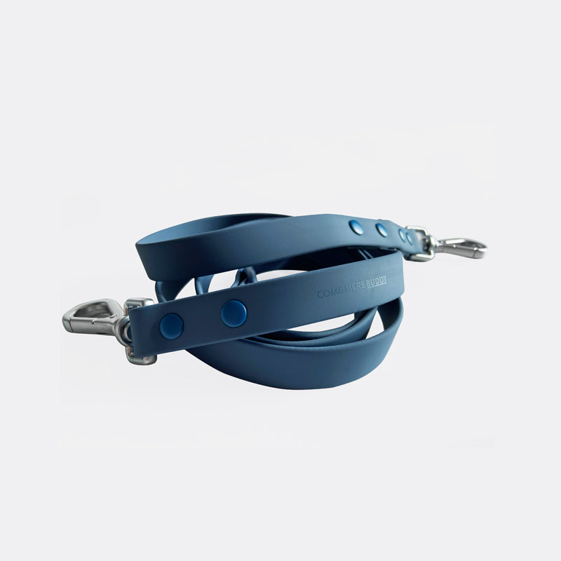 Leash