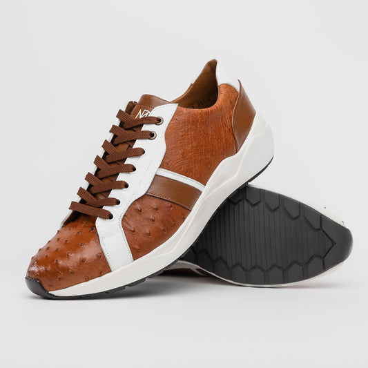 Lyon II Brandy / White