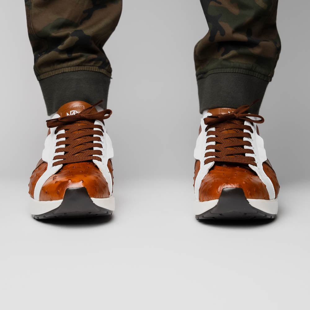 Lyon II Brandy / White