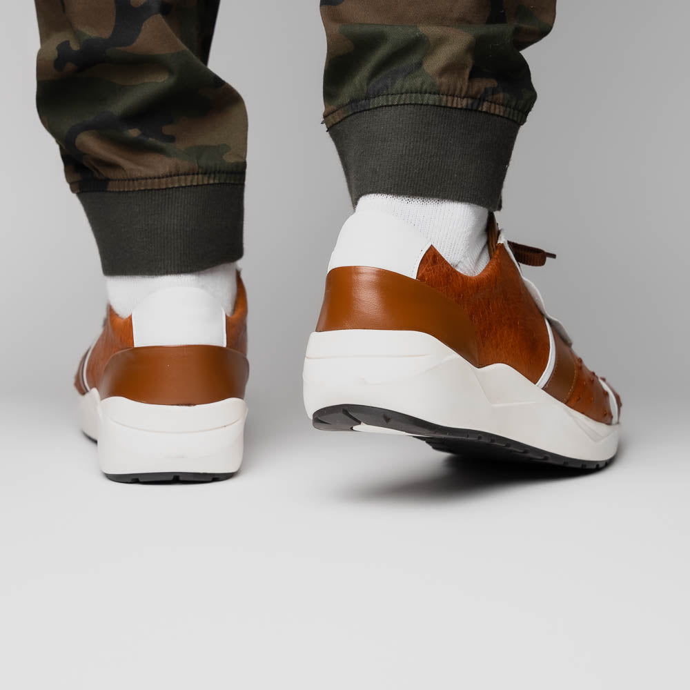 Lyon II Brandy / White