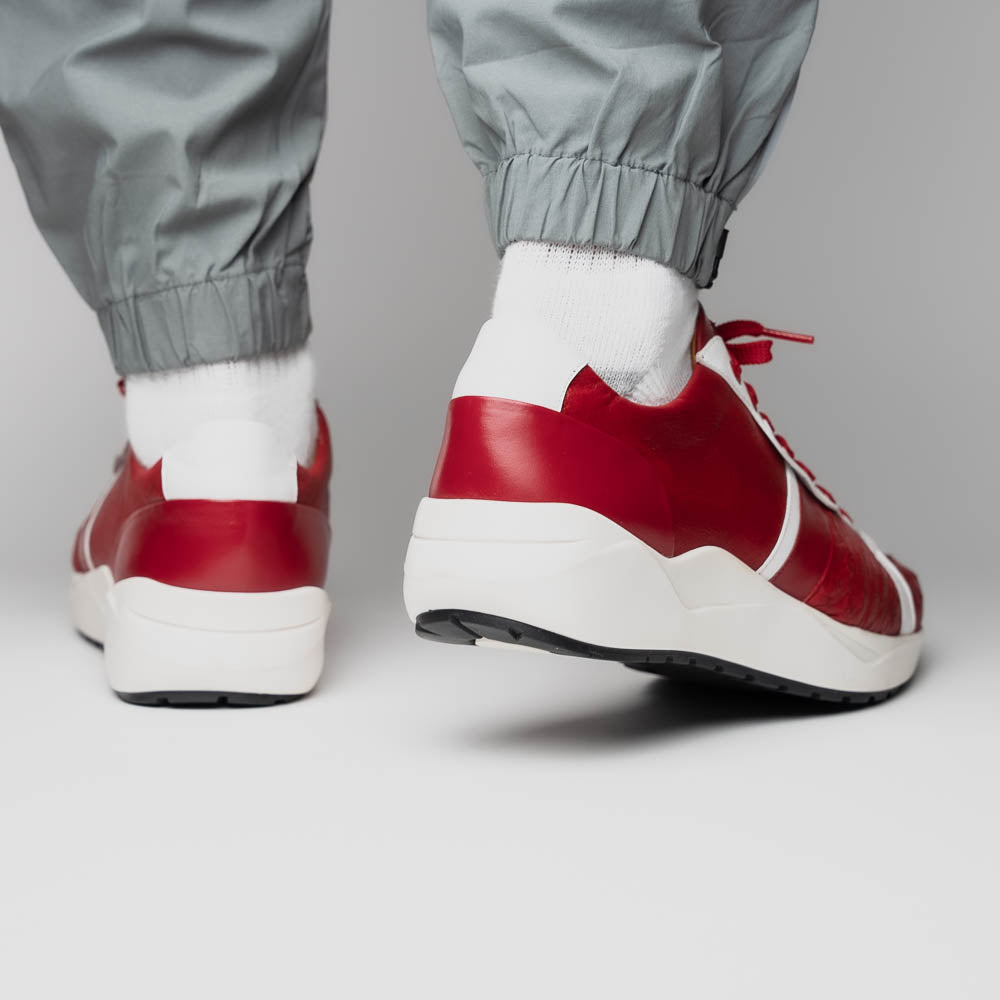 Lyon II Red / White