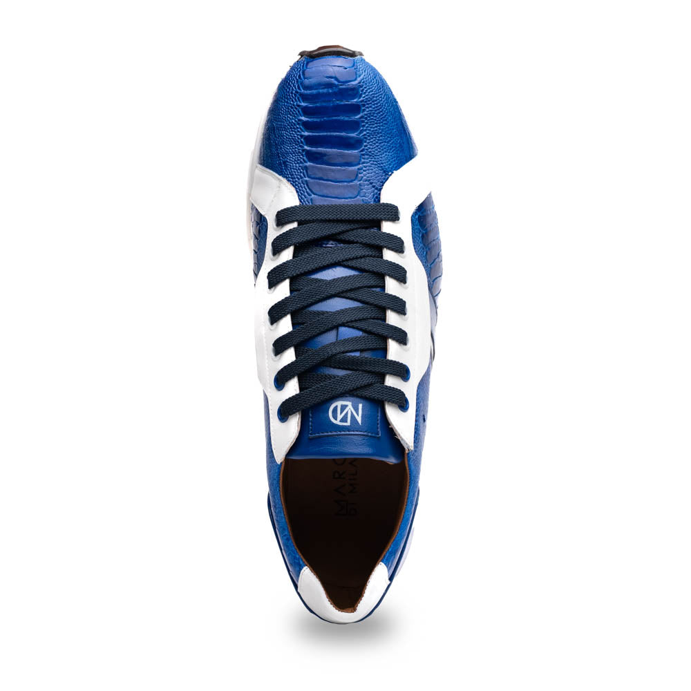 Lyon Blue / White