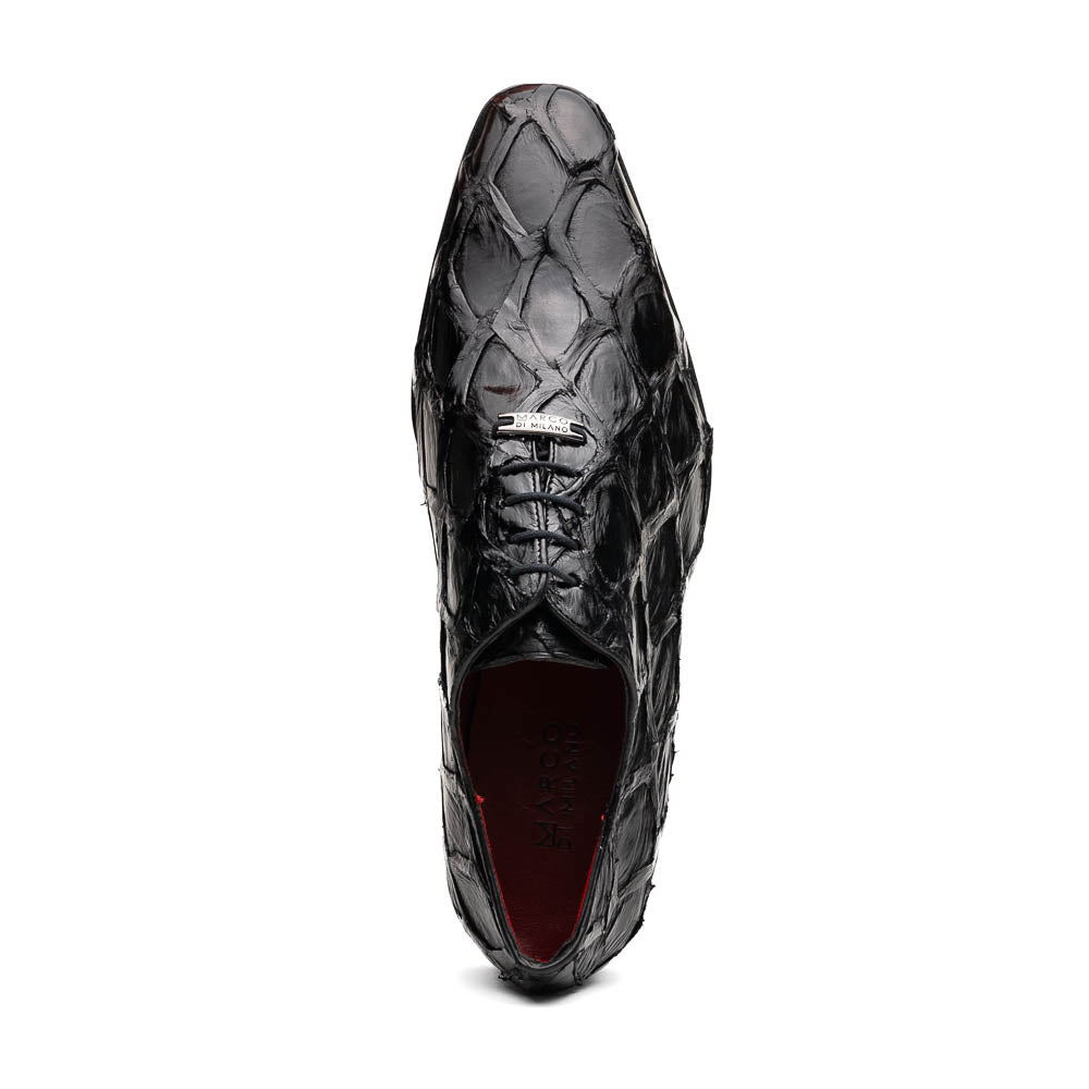 Olivieri Black