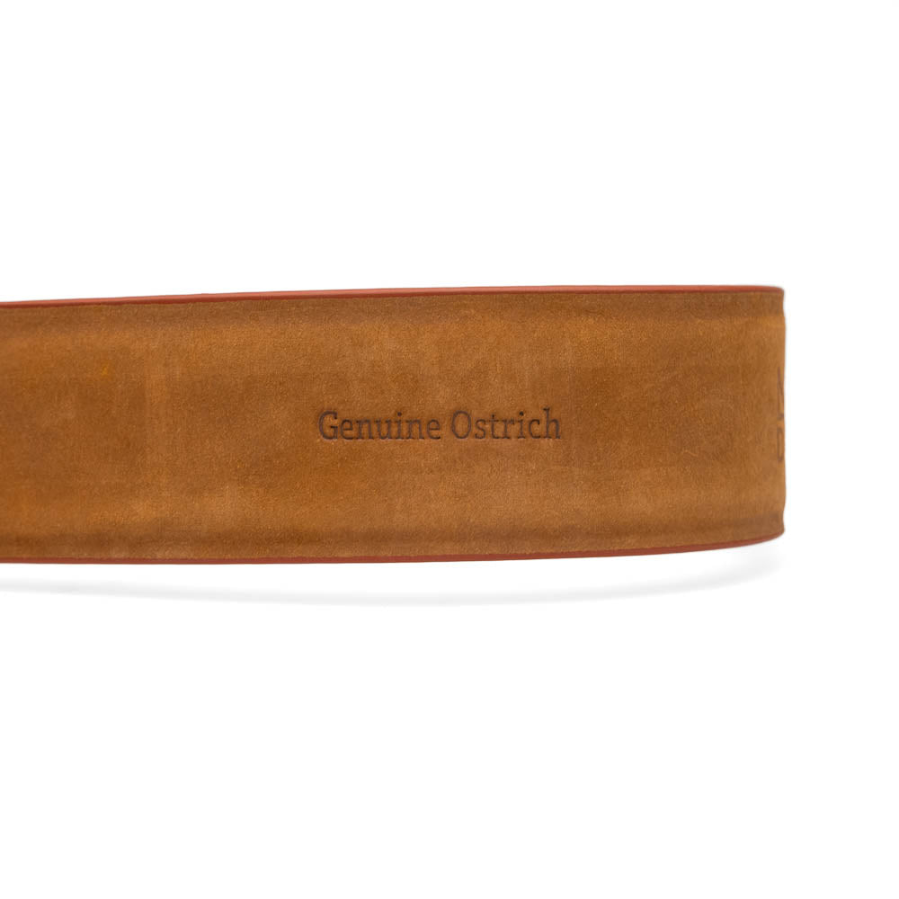 Domenico Belt Forest Green