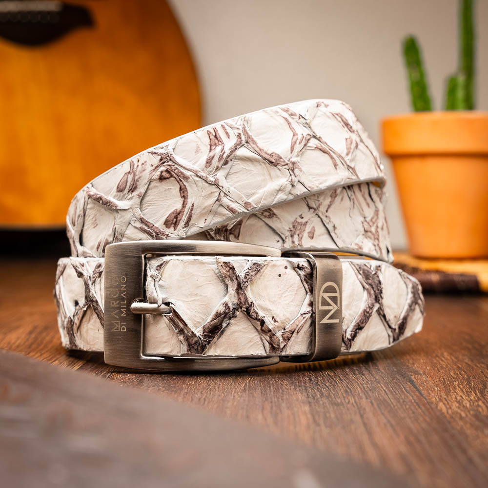 Olivieri Belt Newspaper