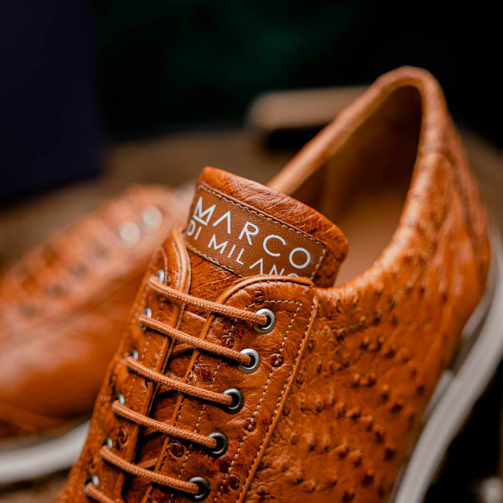 Scanno Antique Cognac